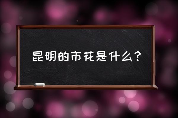 昆明的市花是什么名字 昆明的市花是什么？