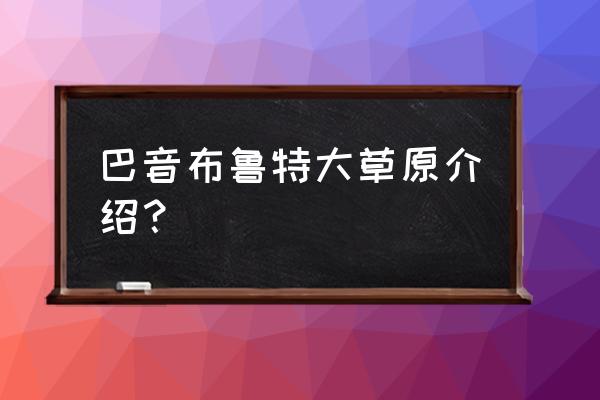 巴音布鲁克大草原的特点 巴音布鲁特大草原介绍？