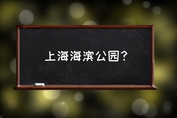 上海的海滨公园 上海海滨公园？