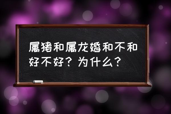 属龙的婚姻最佳配偶 属猪和属龙婚和不和好不好？为什么？