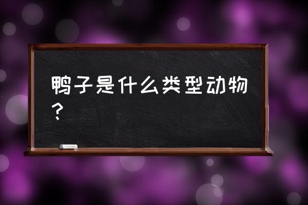 鸭子属于什么类动物 鸭子是什么类型动物？