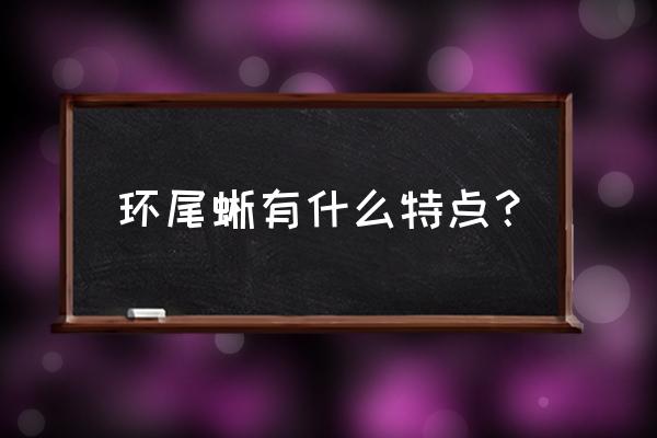 犰狳环尾蜥寿命 环尾蜥有什么特点？