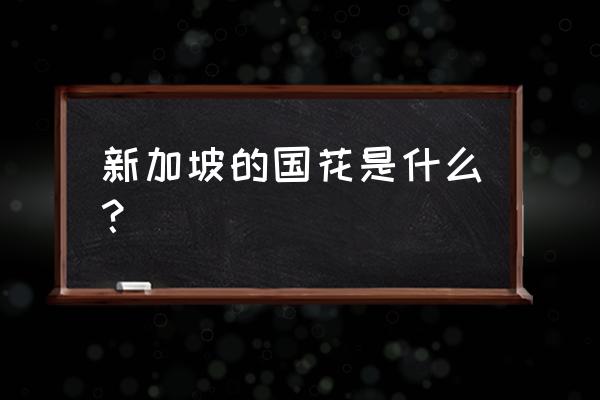 卓锦万代兰国花 新加坡的国花是什么？