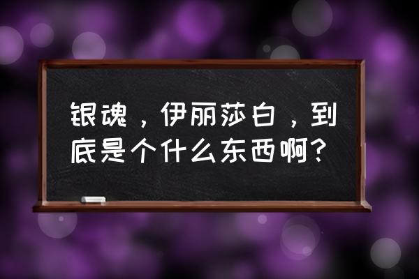 银魂伊丽莎白到底是什么 银魂，伊丽莎白，到底是个什么东西啊？