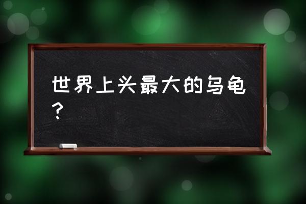 世界上最大的巨型乌龟 世界上头最大的乌龟？