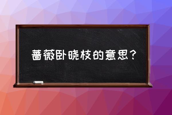 无力蔷薇卧晓枝孟烦了 蔷薇卧晓枝的意思？