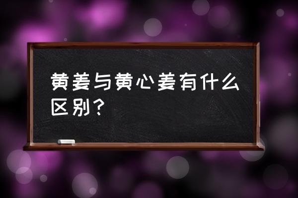 姜黄别名叫什么 黄姜与黄心姜有什么区别？