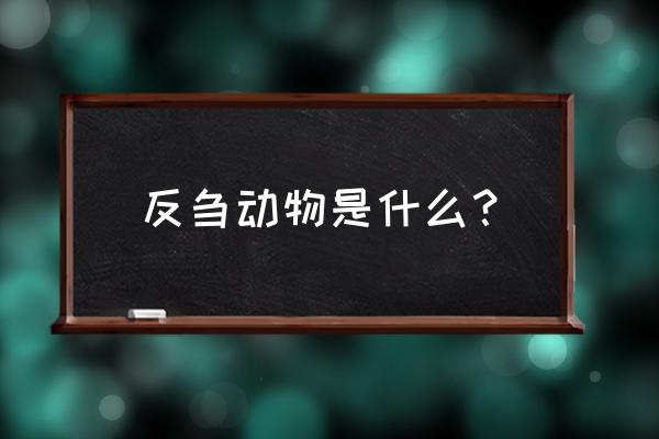 反刍动物指哪些 反刍动物是什么？