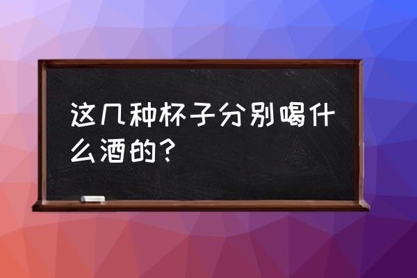 白葡萄酒杯叫什么 这几种杯子分别喝什么酒的？