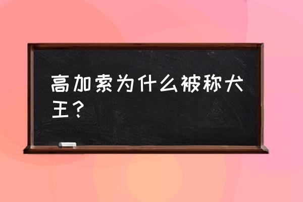 世界上最大的高加索犬 高加索为什么被称犬王？