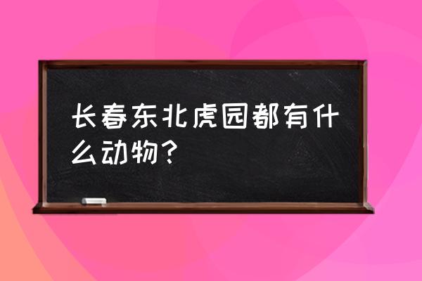 东北虎园有熊猫吗 长春东北虎园都有什么动物？