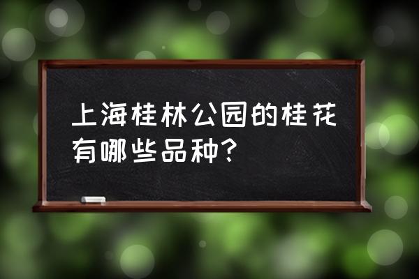 上海桂林公园桂花树 上海桂林公园的桂花有哪些品种？