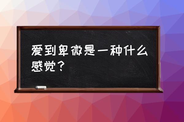 有一种爱情低到尘埃tzt 爱到卑微是一种什么感觉？