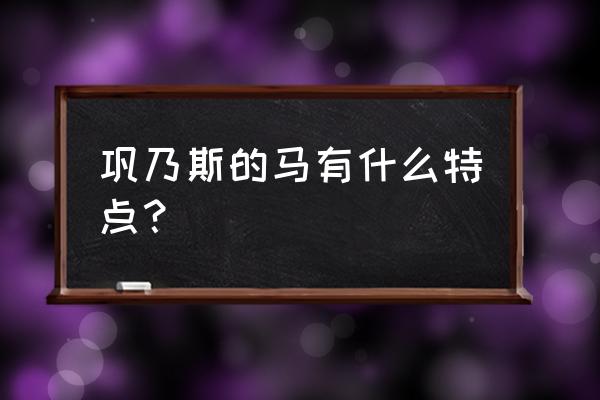 高一巩乃斯的马 巩乃斯的马有什么特点？