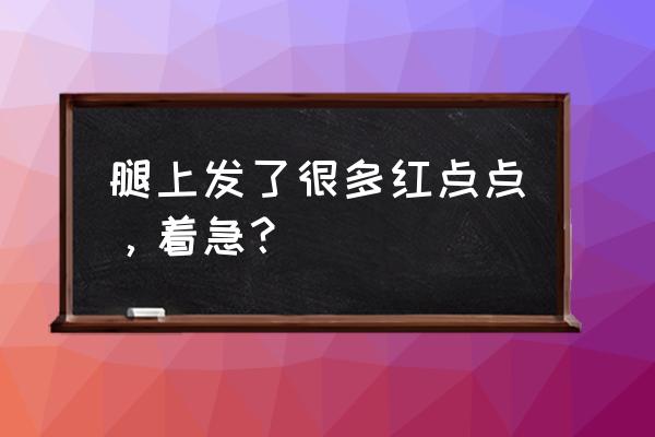 腿上有很多红点点是什么 腿上发了很多红点点，着急？