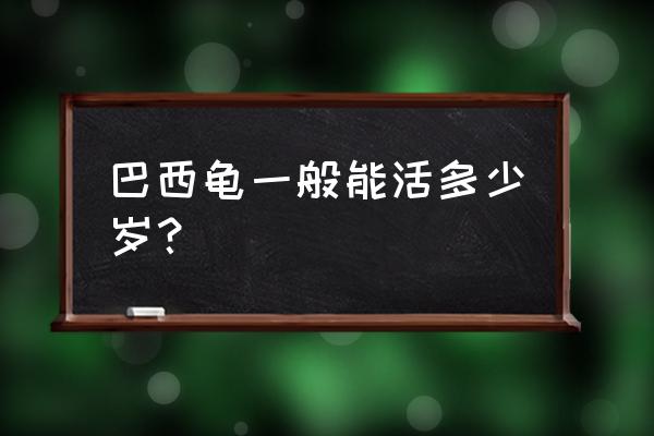 巴西龟的寿命怎么看 巴西龟一般能活多少岁？