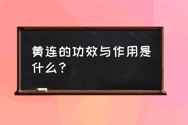 黄连的主要功效与作用 黄连的功效与作用是什么？