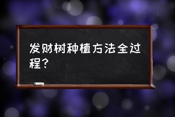 发财树种植方法全过程 发财树种植方法全过程？