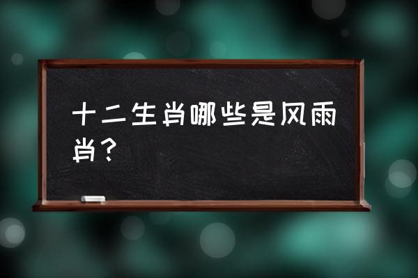 风雨如晦十十生肖 十二生肖哪些是风雨肖？