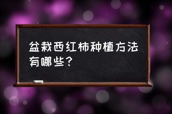 盆栽西红柿种植方法 盆栽西红柿种植方法有哪些？