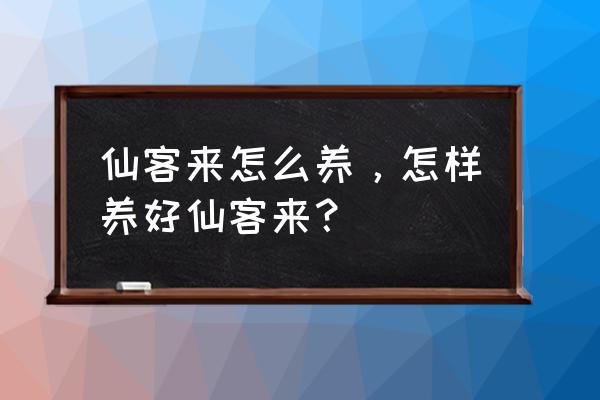 仙客来的正确养殖方法 仙客来怎么养，怎样养好仙客来？