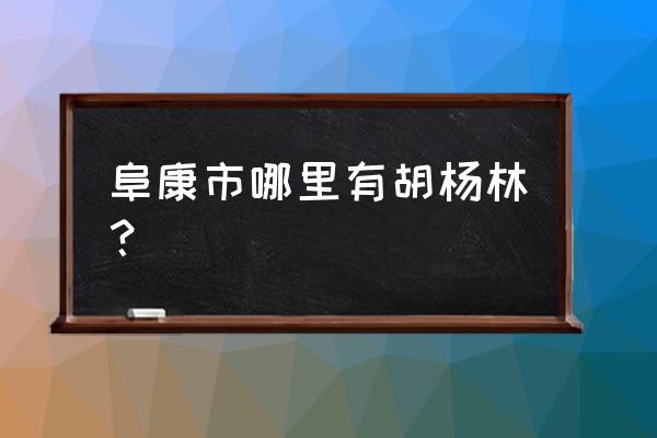 阜康之窗曾梁 阜康市哪里有胡杨林？