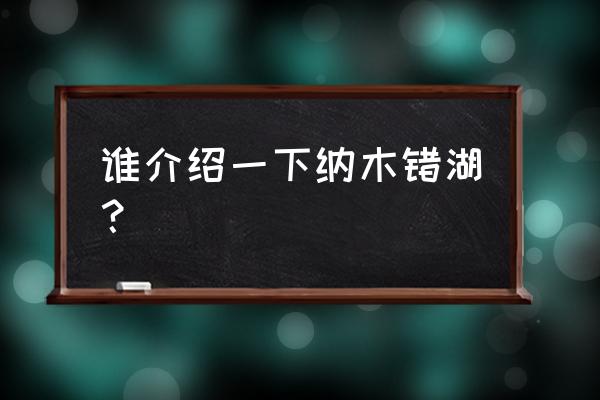 纳木错湖简介 谁介绍一下纳木错湖？