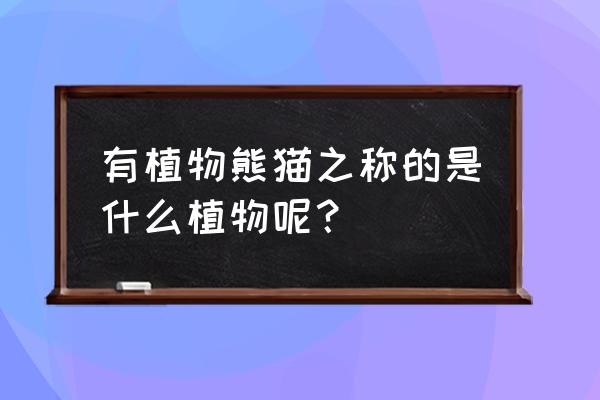 植物熊猫是什么植物 有植物熊猫之称的是什么植物呢？