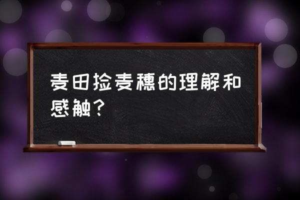 麦穗的感悟和理解 麦田捡麦穗的理解和感触？