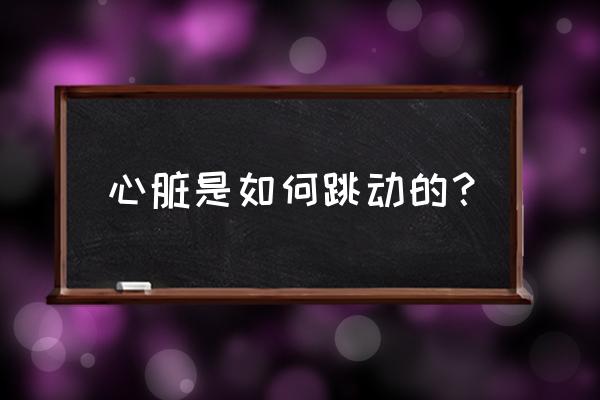 心脏血液的运动过程 心脏是如何跳动的？