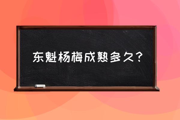 东魁杨梅几年结果 东魁杨梅成熟多久？