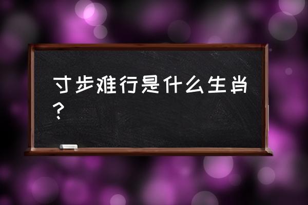 寸步难行打一生肖 寸步难行是什么生肖？