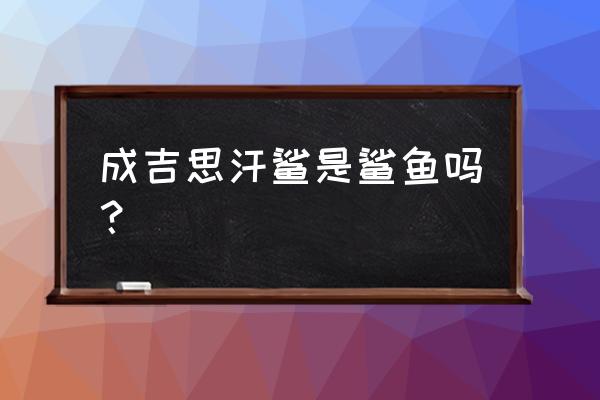 成吉思汗鲨是鲨鱼吗 成吉思汗鲨是鲨鱼吗？