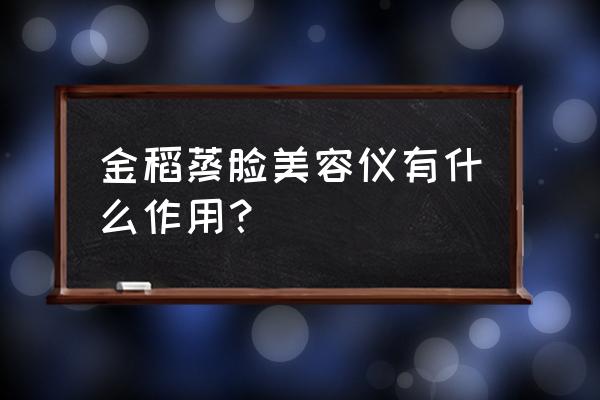 金稻蒸脸器的功效 金稻蒸脸美容仪有什么作用？