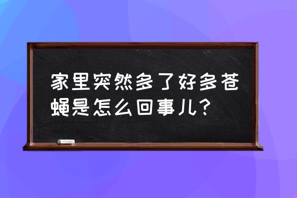 梦到家里苍蝇很多怎么回事 家里突然多了好多苍蝇是怎么回事儿？