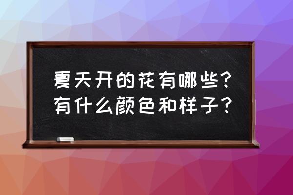 夏天开的花都有哪些 夏天开的花有哪些?有什么颜色和样子？