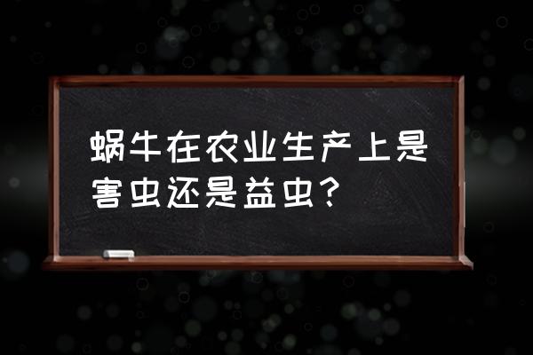 小蜗牛是益虫还是害虫 蜗牛在农业生产上是害虫还是益虫？