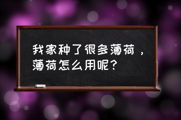 薄荷叶的用法 我家种了很多薄荷，薄荷怎么用呢？