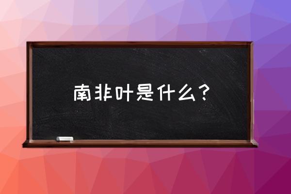 南非叶的神奇功效 南非叶是什么？