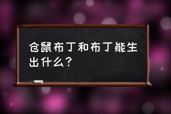 仓鼠布丁和布丁生出什么 仓鼠布丁和布丁能生出什么？