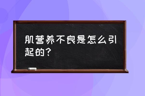 肌营养不良微信群 肌营养不良是怎么引起的？