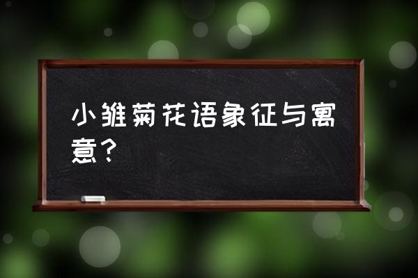 小雏菊寓意和象征 小雏菊花语象征与寓意？