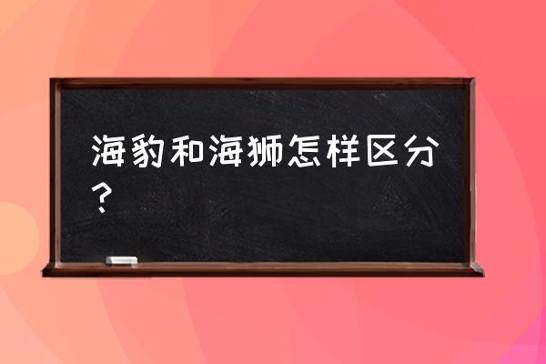 可爱的海豹宝宝 海豹和海狮怎样区分？