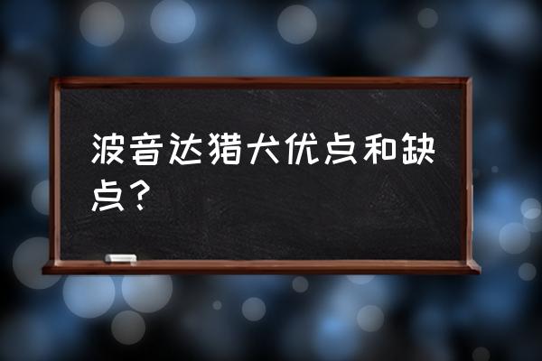 波音达猎犬的优缺点 波音达猎犬优点和缺点？