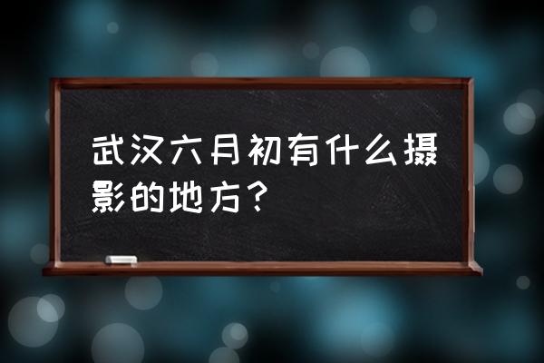 江夏热线摄影家园 武汉六月初有什么摄影的地方？