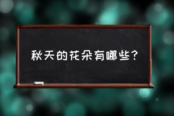 秋天的花有哪些 名字 秋天的花朵有哪些？