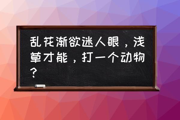 浅草才能没马蹄是什么生肖 乱花渐欲迷人眼，浅草才能，打一个动物？