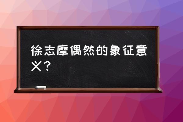 偶然徐志摩的寓意什么 徐志摩偶然的象征意义？