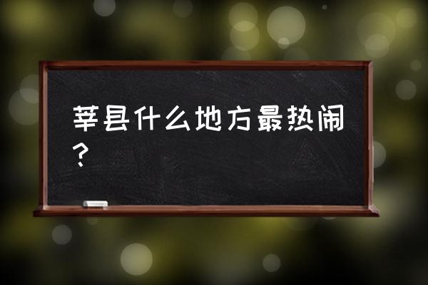 莘县友好饭店 莘县什么地方最热闹？