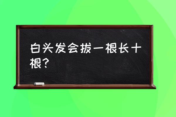 年轻人白头发能拔吗 白头发会拔一根长十根？